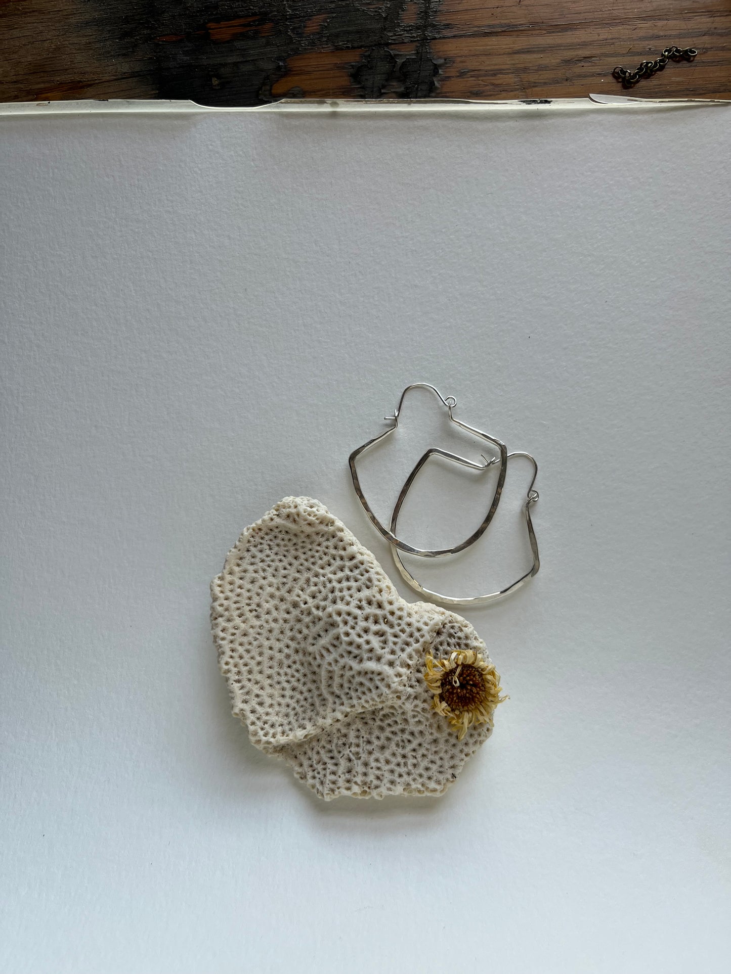 Large Fan Sterling Silver Hoops